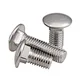 carriage bolt